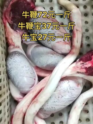 牛鞭72元一斤，50斤一件
牛鞭宝37元一斤，50斤一件
牛宝27元一斤，50斤一件#牛鞭宝 #牛鞭 #牛羊肉批发 #牛副产品 #支持全国发货