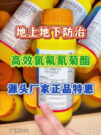 #高效氯氟氰菊酯 #三农 #农业种植 #抖音助农 #病虫害防治