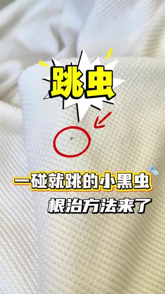 一碰就跳的小黑虫,根治方法来了 家里这种会跳的小黑虫,90%的人都杀不绝!它叫跳虫,俗称烟灰虫,只有1毫米大小,一到潮湿天,墙角、卫生间、花盆边、地漏缝里全是这种小黑点,靠腹部的弹器能跳出十几倍远,专门躲在潮湿发霉的缝隙里繁殖,扫不完、擦不掉,普通杀虫剂喷完没两天又冒出来,密密麻麻看着浑身发麻,藏在缝隙里根本抓不到。想要彻底根除,就得用这款跳虫专用杀虫剂,专门针对跳虫研制,强渗透、高触杀,不管是藏在砖缝里、盆土底下、地漏深处的成虫、虫卵,一喷直接起效,不用抠缝、不用反复折腾。配方温和无色无味,家里有老人小孩、养宠物都能放心用,喷一次长效防控,从根源断根,再也不用天天被跳虫闹心。
#跳虫杀虫剂 #跳虫如何消灭 #跳虫怎么来的 #跳虫防治 #跳虫危害