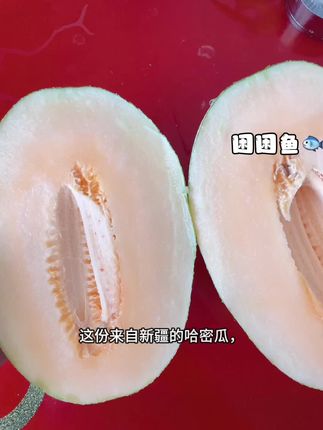 #脆甜多汁 #水果神仙吃法 #应季水果 #解馋 #健康水果 这份来自新疆的哈密瓜,最让人惊喜的便是那沁人心脾的甜度。 ,新疆独特的气候仿佛是为哈密瓜量身打造的“甜蜜工厂”——充足的日照让果实积累了满满的糖分,昼夜的温差又锁住了这份甜蜜,再加上纯净的雪水灌溉,每一口都带着阳光的暖意与自然的馈赠。切开时,橙黄的果肉饱满多汁,轻轻咬下,清甜瞬间在舌尖炸开,甜度恰到好处,不会腻人,反而带着一丝清爽,仿佛把新疆的热烈与纯净都浓缩在了这一口甘美里。无论是直接享用还是搭配酸奶,都能让人感受到这份来自西域的独特甜蜜,是味蕾与自然的美好相遇。