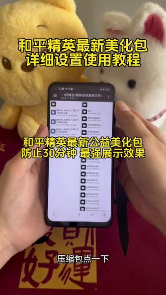 和平精英最新公益美化包详细使用教程来了#和平精英#和平精英美化包领取教程#防冻结美化包#美化包教程