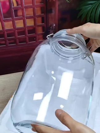 泡酒玻璃瓶专用酒瓶 青梅杨梅自酿果酒空瓶#泡酒瓶 #玻璃酒瓶 #好物推荐🔥 #实用好物