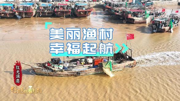 行走乡村看垦利|美丽渔村 幸福起航 #垦利