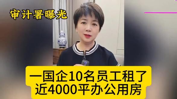 审计署曝光,一国企10名员工租了近4000平办公用品