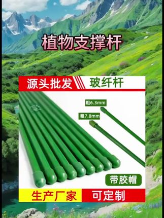 金钱树蝴蝶兰支架蔬菜瓜果爬藤植物立柱撑杆园艺盆栽花卉固定架子#蝴蝶兰支架 #园艺盆栽 #园艺花卉 #固定架子 #园艺盆栽树枝定型器
