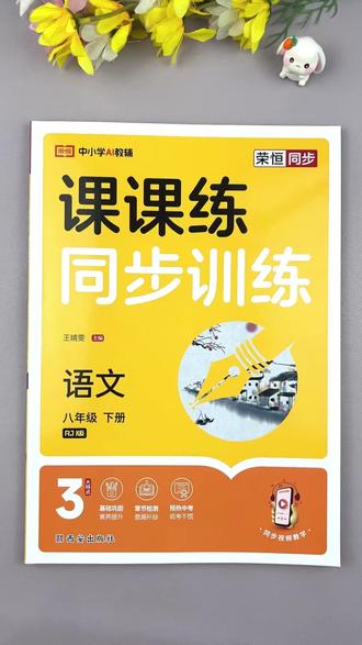 八年级下册 语文 #同步训练 #课课练 #人教版 初二 语文 #同步练习册 课本同步一课一练