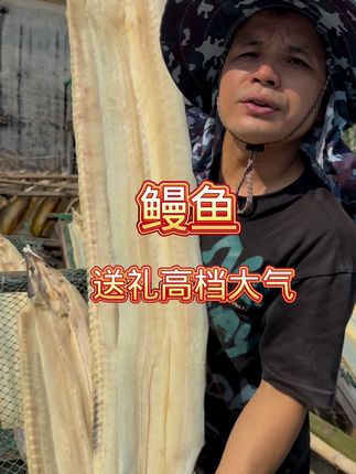 哇!好大一条鳗鱼干,送礼都倍儿有面#海鲜干货 #鳗鱼 #送礼 #海鲜干货