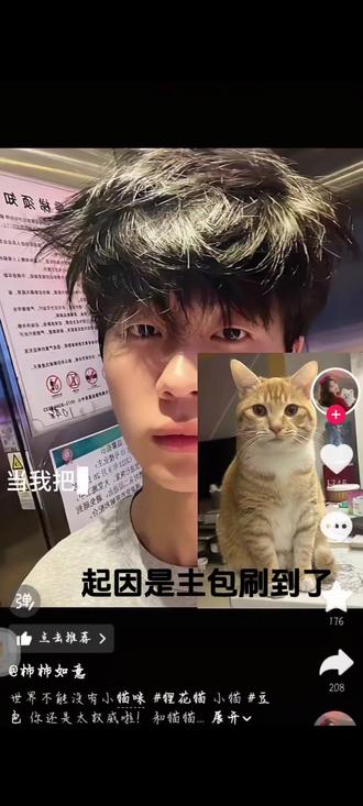 就如此戏弄主包#豆包 #谢谢有被笑到 #弱小可怜又无助 #情感交流记录