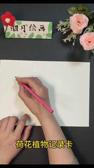 荷花植物记录卡,需要的记得点赞收藏哦#每日一画#植物记录卡#荷花记录卡#手抄报#手抄报三年级