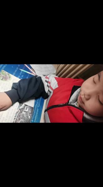 《动物世界》 23.树懒为什么那么慢?