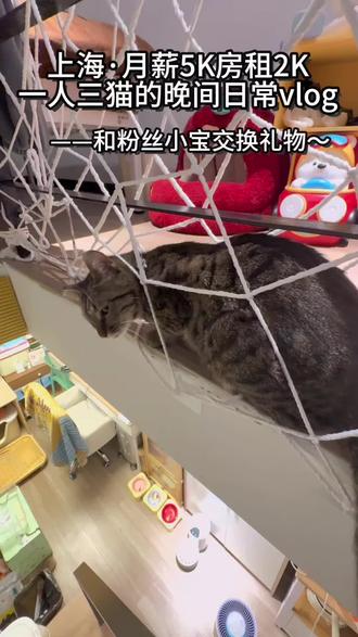 0元随心配~第一次配 爽哉
(素材丢了 超级可爱的吃饭画面没录上 哭了)#vlog十亿流量扶持计划 #宠物vlog #萌宠出道计划 #随心配 #生活vlog日常记录