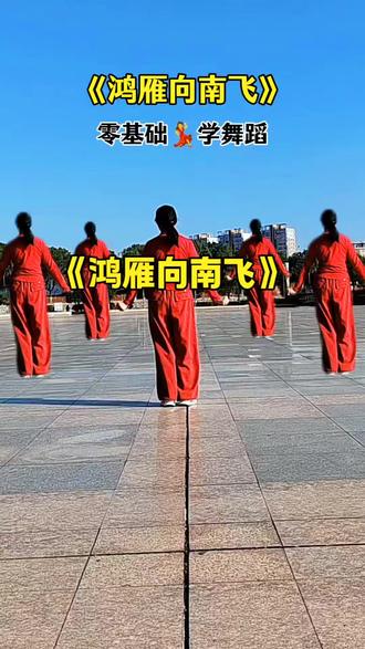 鸿雁向南飞#简单易学 #芹姐爱跳舞@DOU+小助手