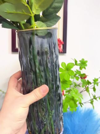 #花瓶摆件#水培植物#花瓶插花#玻璃花瓶#爱生活爱养花