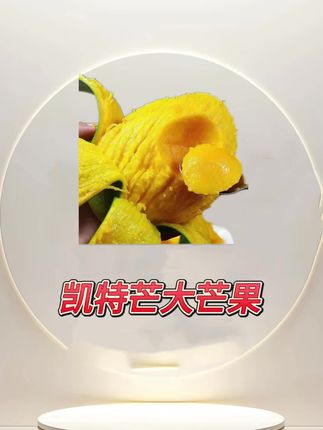 凯特大芒果#新鲜采摘 #芒果 #凯特芒果 #水果