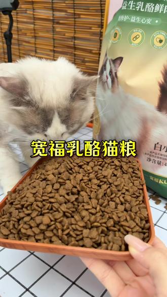 但凡家里有猫的姐妹们,抓紧啦#猫粮
