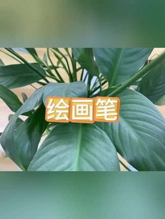 #绘画笔#描绘笔#绘画笔推荐