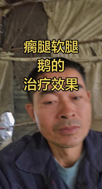 瘸腿软腿鹅怎么办 针对瘸腿软腿鹅的一个用药情况#养鹅#养鹅技术分享 #农村生活 #三农养殖