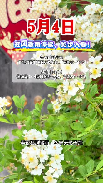 跑步入夏!气温蹭蹭涨 #夏天的温柔已长满枝头 #临沂同城热点 #真实生活分享计划