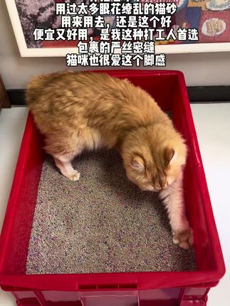 养猫多年,用来用去还是这个猫砂好用,十斤原味的到手才9块9#猫砂#猫砂推荐#猫砂测评 #新手养猫#养猫人