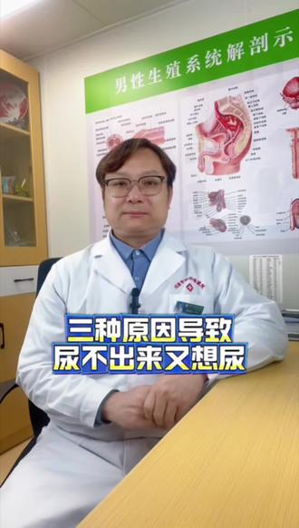 尿不出来又想尿?别硬扛!可能是这三大原因#抖出健康知识宝藏 #健康科普有真知