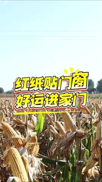 红纸贴门窗,好运进家门#腊月二十八#传统习俗#春播#巡天棒大帅#三农