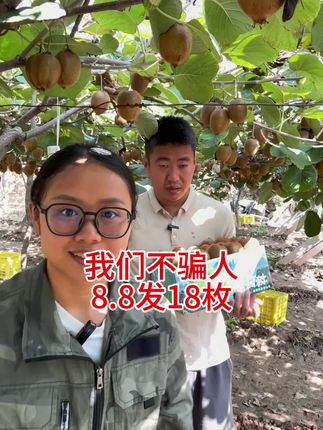 #徐香猕猴桃