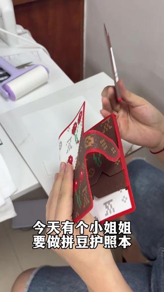 拼豆护照本,我称它为拼豆2.0,直接轻松搞定!#拼豆 #我染上了拼豆