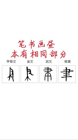 书笔画昼四字有相同部分 #甲骨文 #说文解字