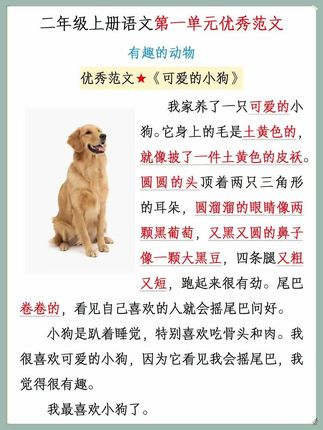 #一二年级 #看图写话 是重点,孩子图片看不懂,句子写不顺, 就用这本看图写话,他通过一问一答的模式,一步步引导孩子找到写作思路,让孩子轻松学写话 #写作技巧 #好书推荐