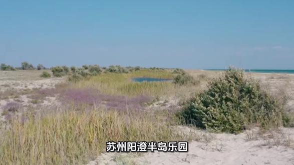 苏州阳澄半岛乐园#玩得开心#亲子时光#都来看看