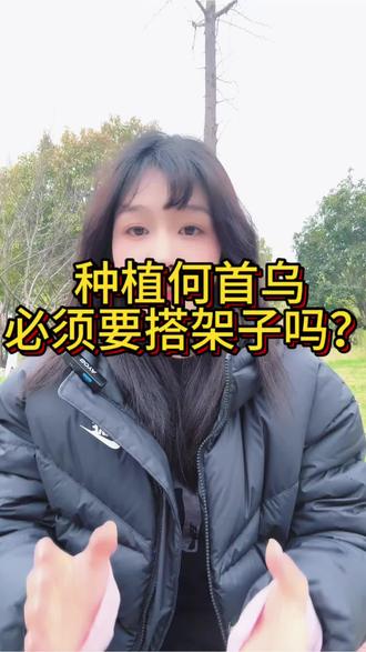 种植何首乌必须要搭架子吗?#中药材种植 #何首乌#三农