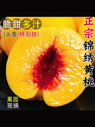 蒙阴锦绣黄桃沂蒙山区新鲜爽口毛桃红心做罐头多汁现摘脆甜#新鲜采摘