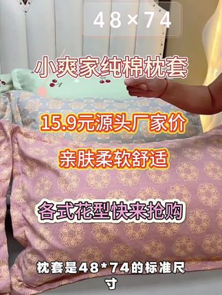 枕套一对装加大48x74亲肤轻奢单双人学生家用成人情侣枕套
