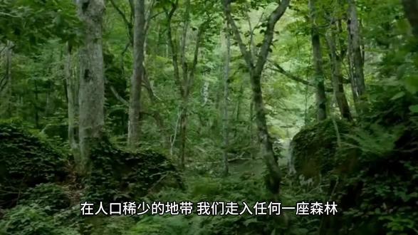 #上热门 美文,一个消逝的山村