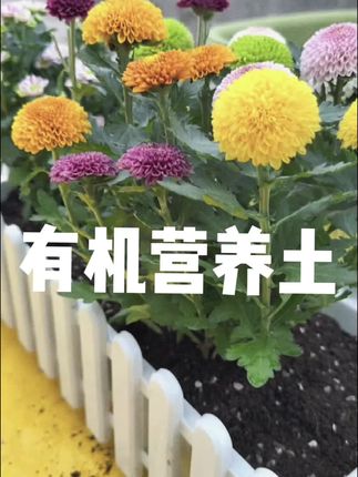 爸爸优秀孩子一定优秀,孩子80%的缺点都来源于爸爸#育儿经验分享#家长必读 #父母课堂#亲子关系 #好爸爸系列