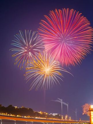 鸟笼周围太难清理了,我都是这个网纱罩,全包裹鹦鹉谷壳垃圾都能轻松包裹,干净又卫生#鹦鹉网纱罩 #萌宠好物