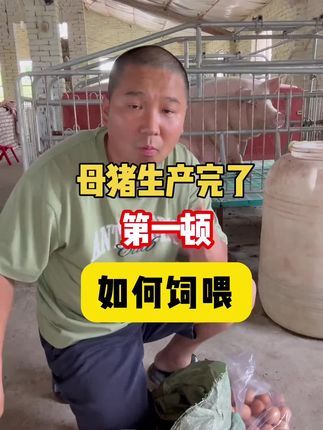 #养猪人加油干 #干活的女人最美 #所有养猪人