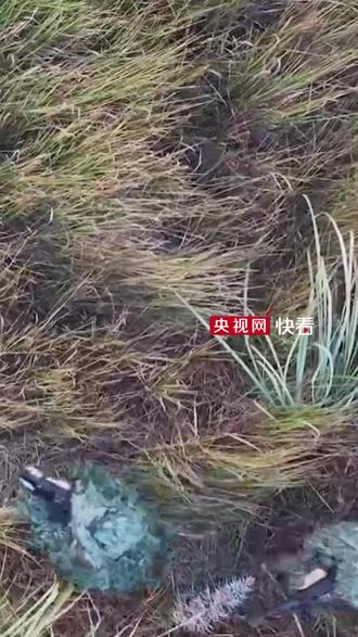 如果战斗就在今夜打响,战友,你准备好了吗?