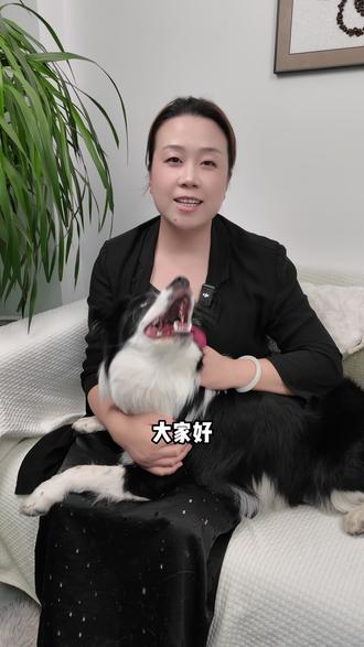 新手养宠小经验 读懂你的毛孩子 新手养宠别迷茫 听我好好给你讲讲#新手养宠 #宠物习惯 #新宠到家 #养宠经验