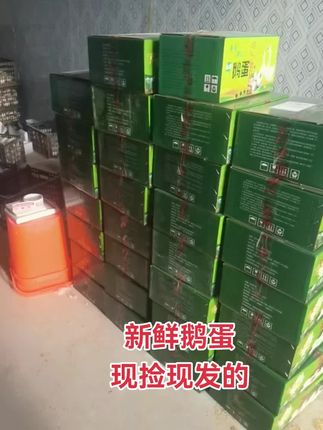 #鹅蛋 #三农