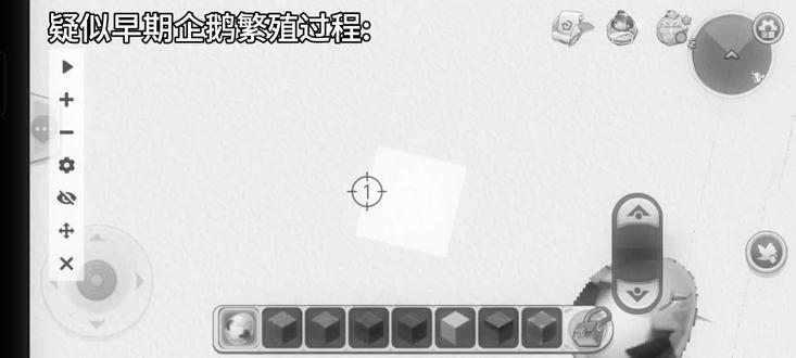 早期企鹅繁殖过程#迷你世界 #迷你世界老版本