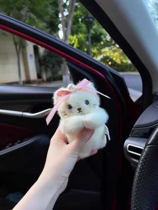拜托,这个小猫咪好可爱,养一只在车里叭#萌化了 #阔爱炸了 #怀档装饰