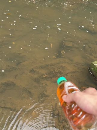 抓鱼半年换宝马#醉鱼配方#抓鱼#捡鱼