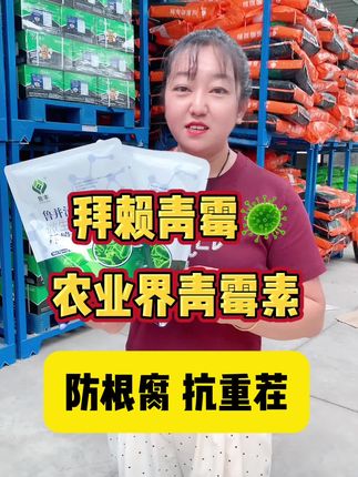 拜赖青霉农业界青霉素防线虫防病害