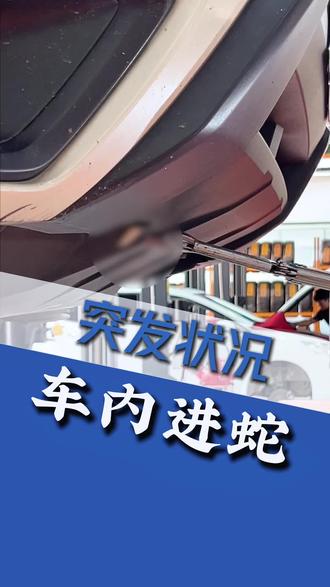 突发状况,车里面进蛇,大家一定要仔细检查,发现及时报消防 #车里进蛇 #消防员 #东莞修车 #本田专修 #东莞福宝汽修