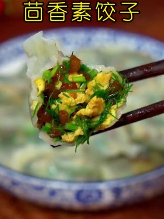 百吃不厌的茴香馅素饺子,翠绿翠绿的不出水,配上蒜汁辣椒油太好吃了。#饺子 #茴香饺子 #素饺子 #手工水饺 #好吃不如饺子