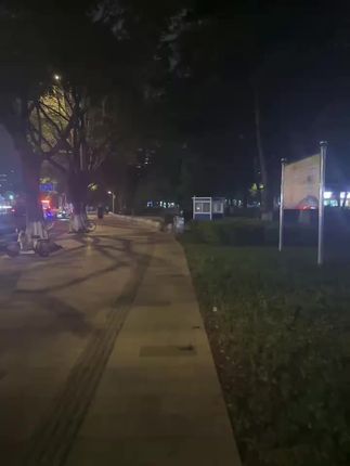 云南天麻片#云南天麻 #天麻片