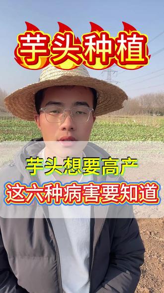芋头想要高产啊,这六种病害要知道,可以收藏起来备用! #芋头#种芋头#芋头种植#芋头种植技术#芋头种植流程