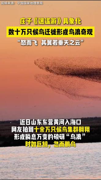 北冥有鱼原来真实存在,万鸟化鲲鹏,扶摇而上!《逍遥游》在这一刻具象化~
#北冥有鱼 #北冥有鱼竟然是真的 #逍遥游 #逍遥游照进现实 #鸟浪