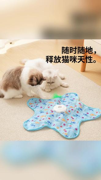 猫咪捕猎罩多功能自嗨解闷神器躲藏罩宠物玩具罩 #猫咪玩具推荐 #宠物解闷神器 #多功能宠物罩 #猫咪捕猎游戏 #宠物躲藏玩具